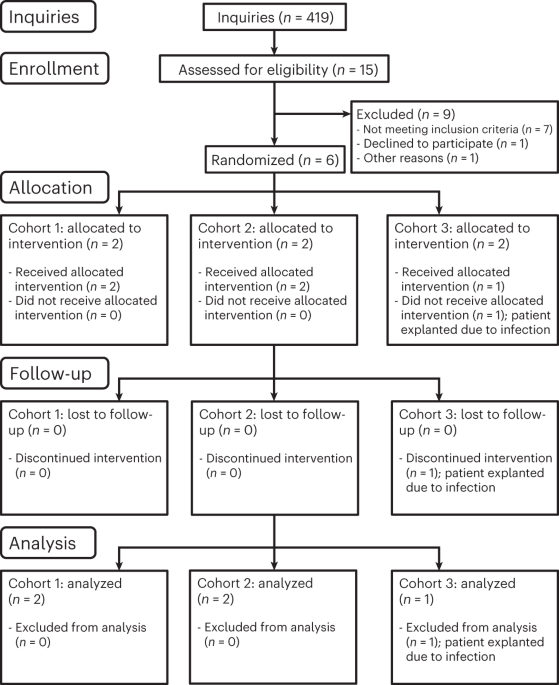 Thalamic deep brain stimulation in traumatic brain injury: a phase 1, randomized feasibility study