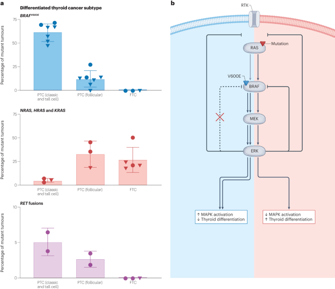 Genomic alterations in thyroid cancer: biological and clinical insights