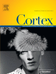 Investigating the variability of prefrontal tDCS effects on working memory: an individual E-field distribution study