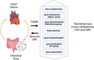 Exploring the potential causal relationship between gut microbiota and heart failure: A two-sample mendelian randomization study combined with the geo database