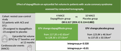 Effect of dapagliflozin on epicardial fat volume in patients with acute coronary syndrome assessed by computed tomography