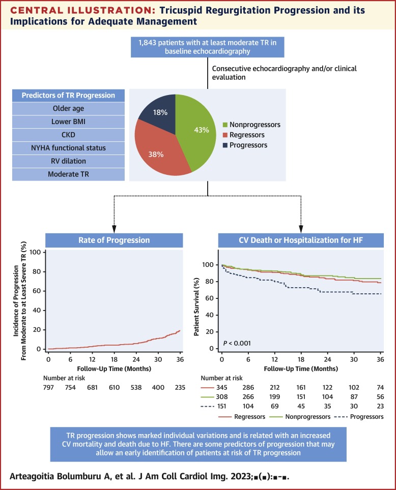 Determinants of Tricuspid Regurgitation Progression and Its Implications for Adequate Management