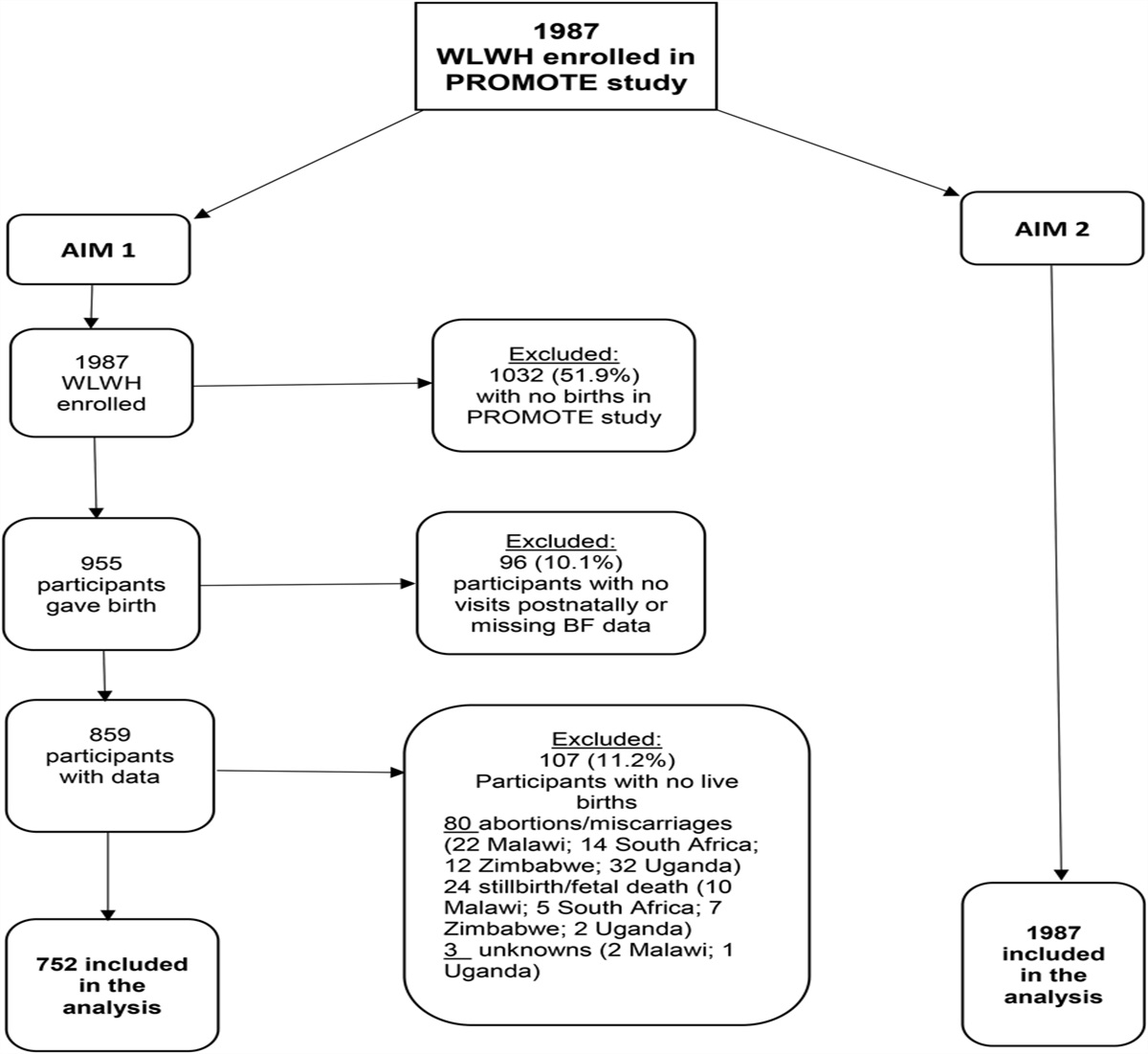 Breastfeeding Among Women Living With HIV in the Era of Lifelong ART: An Observational Multicountry Study in Eastern and Southern Africa
