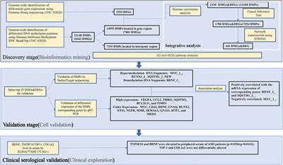 Methylation and transcriptomic expression profiles of HUVEC in the oxygen and glucose deprivation model and its clinical implications in AMI patients