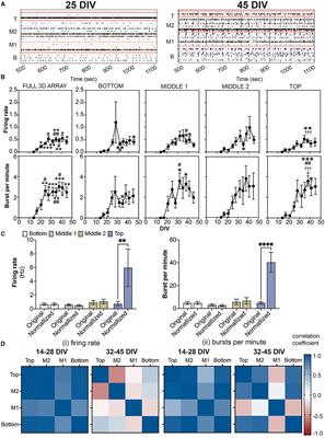 Corrigendum: Spatiotemporal analysis of 3D human iPSC-derived neural networks using a 3D multi-electrode array