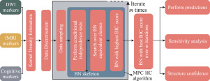 Multi-source multi-modal markers for Bayesian Networks: Application to the extremely preterm born brain