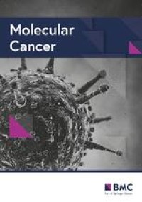 A liquid biopsy signature of circulating extracellular vesicles-derived RNAs predicts response to first line chemotherapy in patients with metastatic colorectal cancer