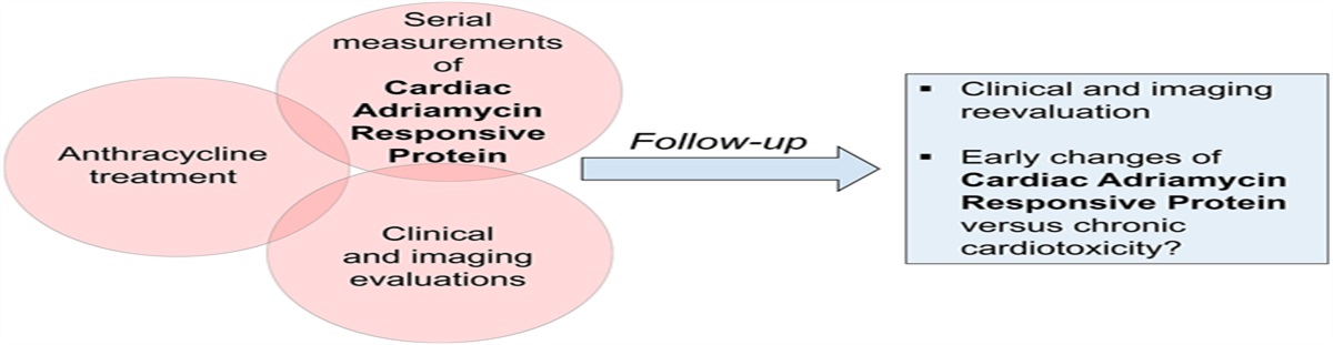 Anthracyclines and Cardiotoxicity: Is CARP a Forgotten Biomarker?