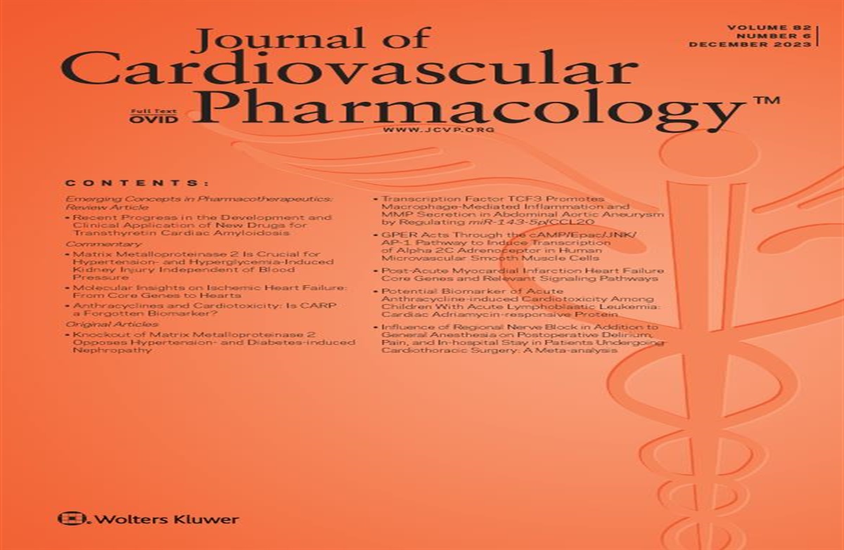 Matrix Metalloproteinase 2 Is Crucial for Hypertension- and Hyperglycemia-Induced Kidney Injury Independent of Blood Pressure