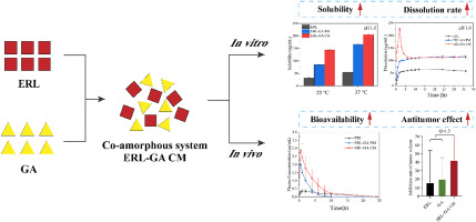 Co-amorphous mixture of erlotinib hydrochloride and gallic acid for enhanced antitumor effects