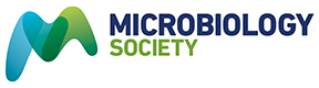 ICTV Virus Taxonomy Profile: Discoviridae 2023