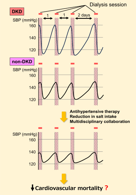 Pre-dialysis blood pressure and cardiovascular mortality in Japan: need for much stricter control?