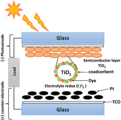 Exploiting the role of coadsorbents on photovoltaic performances of dye sensitized solar cells: A DFT study