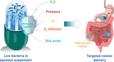 pH-dependent pressure-sensitive colonic capsules for the delivery of aqueous bacterial suspensions