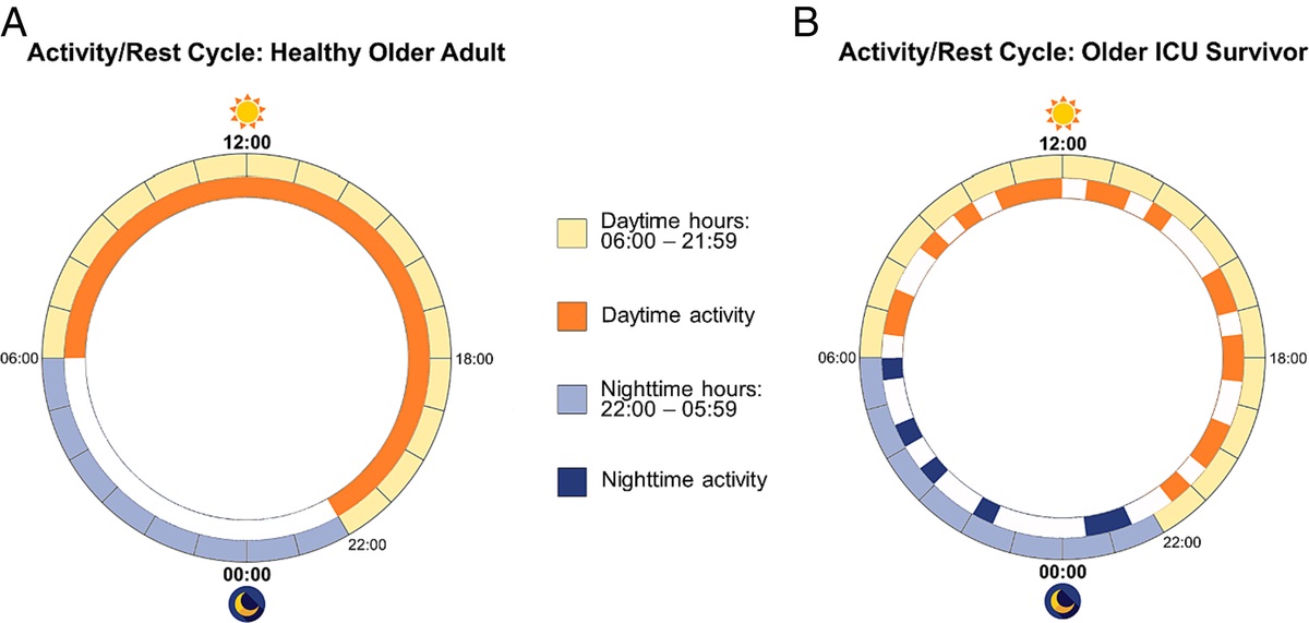 Associations Between Inactivity and Cognitive Function in Older Intensive Care Unit Survivors