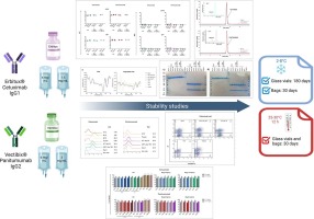 Prolonging the stability of cetuximab (Erbitux®) and panitumumab (Vectibix®): An orthogonal assessment of physicochemical, biological and microbiological properties of original opened glass vials and diluted saline preparations