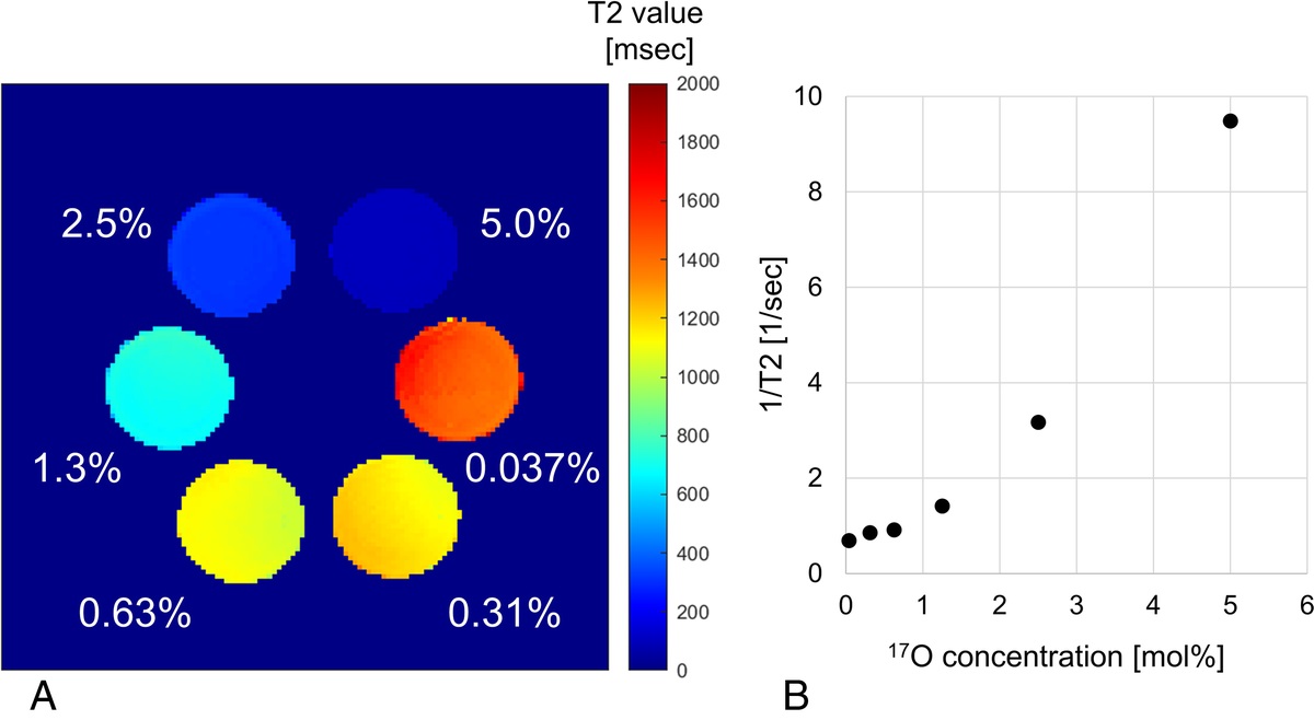 Magnetic Resonance Water Tracer Imaging Using 17O-Labeled Water