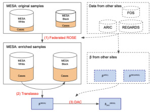 Trans-Balance: Reducing demographic disparity for prediction models in the presence of class imbalance