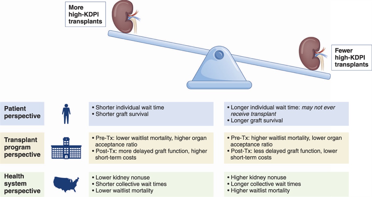 Maximizing Utility of Deceased Donor Kidney Offers