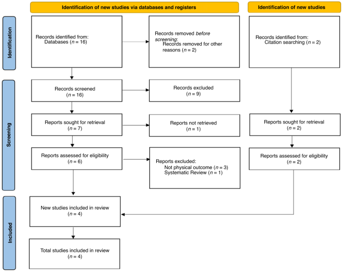 Effect of psychostimulant medications on physical function in children with cerebral palsy: scoping review