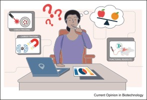 Quantifying nanoparticle delivery: challenges, tools, and advances