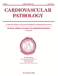 A Fetal Rat Model of Ventricular Non-compaction Caused by Intrauterine Hyperglycemia