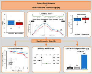 Left atrial pump strain predicts long-term survival after transcatheter aortic valve implantation