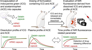 Near-infrared imaging of in vivo performance of orally administered solid forms to rats: Feasibility study with indocyanine green