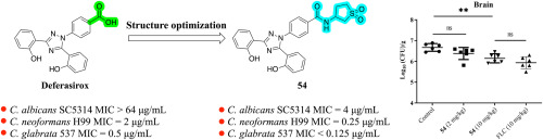 Design, synthesis and evaluation of novel deferasirox derivatives with high antifungal potency in vitro and in vivo
