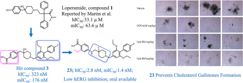 Discovery and exploration of novel somatostatin receptor subtype 5 (SSTR5) antagonists for the treatment of cholesterol gallstones