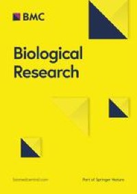 Integration of ATAC-seq and RNA-seq identifies MX1-mediated AP-1 transcriptional regulation as a therapeutic target for Down syndrome
