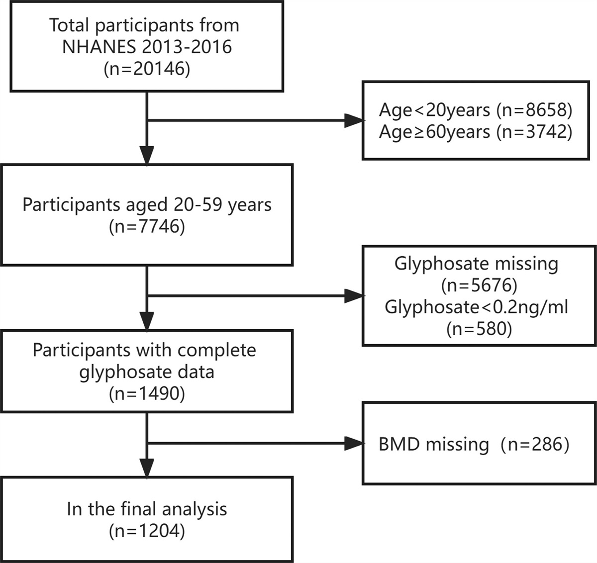 Association between urinary glyphosate exposure and bone mineral density in adults