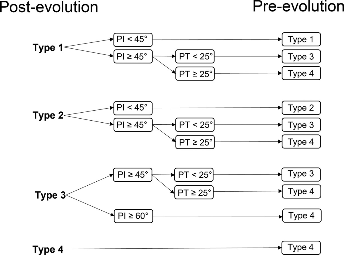 Evolution of sagittal spinal shape for the development of thoracic ossification of ligamentum flavum