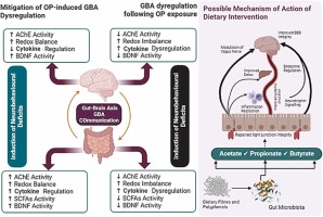 Tiger nut/coconut dietary intervention as antidotal nutritional remediation strategy against neurobehavioural deficits following organophosphate-induced gut-brain axis dysregulation in mice