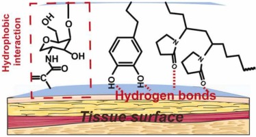 Chitosan-based multifunctional hydrogel with bio-adhesion and antioxidant properties for efficient wound hemostasis