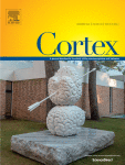 Language-universal and script-specific factors in the recognition of letters in visual crowding: The effects of lexicality, hemifield, and transitional probabilities in a right-to-left script