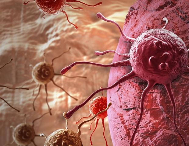 New map offers valuable insights into the underlying mechanisms of neurodevelopmental disorders and cancer