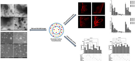 Formulation development and evaluation of fluvastatin loaded transethosomes: Characterization, stability, in vitro dermal penetration, cytotoxicity and antipsoriatic activity studies