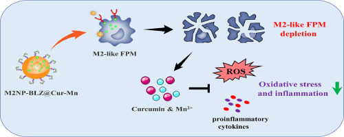 Spatial targeting of fibrosis-promoting macrophages with nanoscale metal-organic frameworks for idiopathic pulmonary fibrosis therapy
