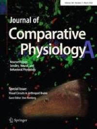 A formative journal for a formative career: a personal recollection of how JCPA has inspired and guided my research life