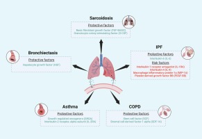 The causality between systemic inflammatory regulators and chronic respiratory diseases: A bidirectional Mendelian-randomization study