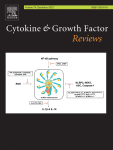 COVID-19: from emerging variants to vaccination