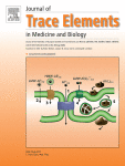 Protective effect of quercetin on cadmium-induced kidney apoptosis in rats based on PERK signaling pathway