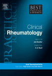 Kidney involvement in systemic lupus erythematosus: From the patient assessment to a tailored treatment