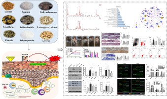 Qing-Re-Chu-shi decoction ameliorates 2,4-dinitrochlorobenzene-induced atopic dermatitis in NC/Nga mice through anti-inflammation and immunoregulatory mechanisms