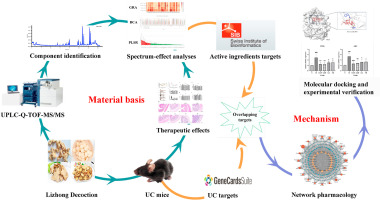Investigation of the material basis and mechanism of Lizhong decoction in ameliorating ulcerative colitis based on spectrum-effect relationship and network pharmacology
