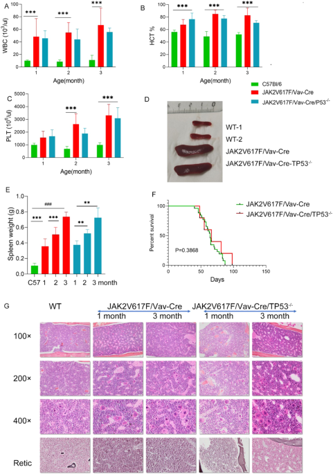 Genomic and functional impact of Trp53 inactivation in JAK2V617F myeloproliferative neoplasms