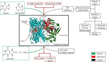 Pathology, target discovery, and the evolution of XO inhibitors from the first discovery to recent advances (2020–2023)