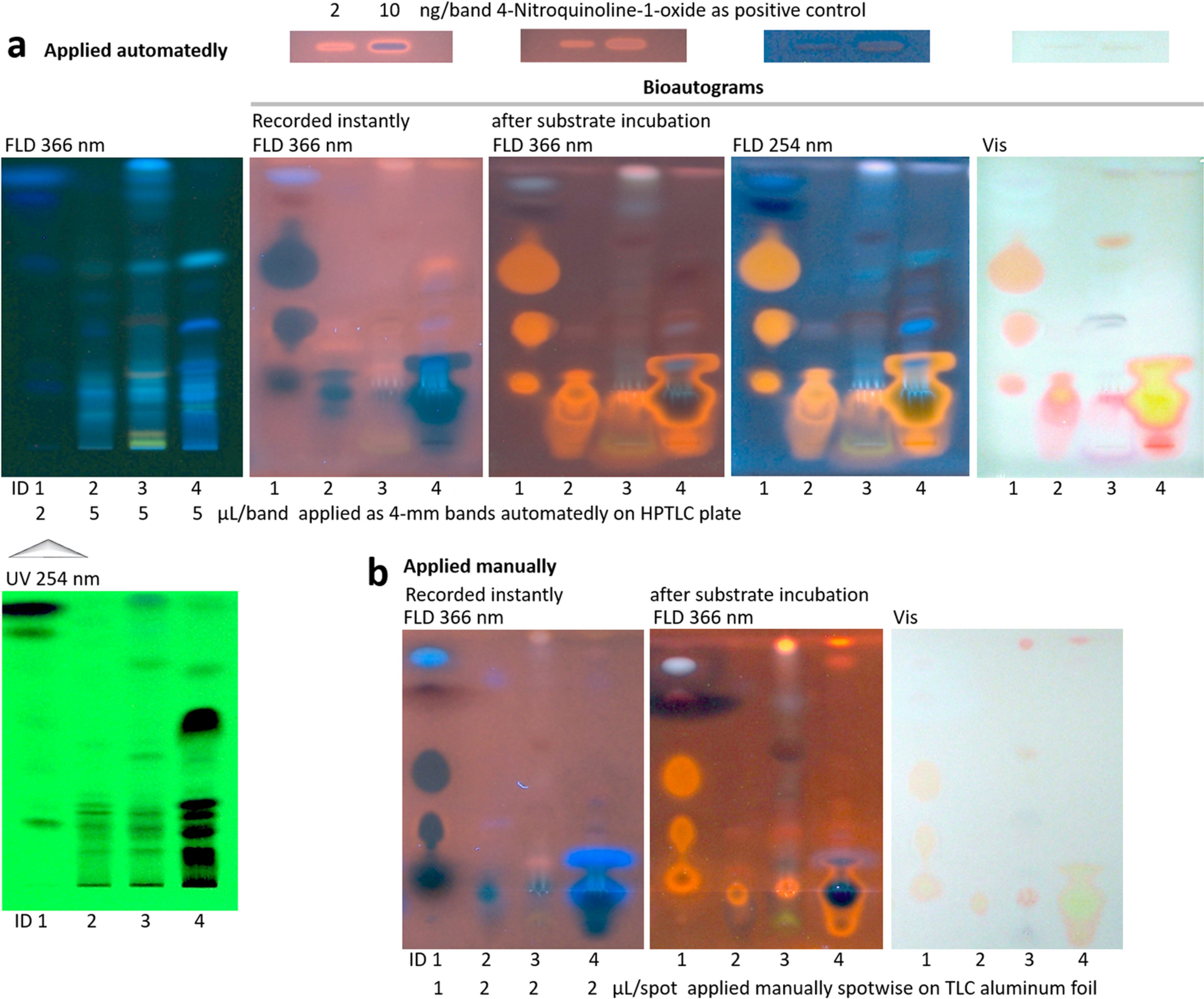 Simple performance of the planar SOS-Umu-C–FLD genotoxicity bioassay shown for perfume and packaging material analysis