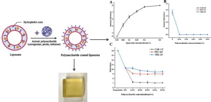 Polysaccharide-coated quercetin-loaded nanoliposomes mitigate bitterness: A comparison of carrageenan, pectin, and trehalose
